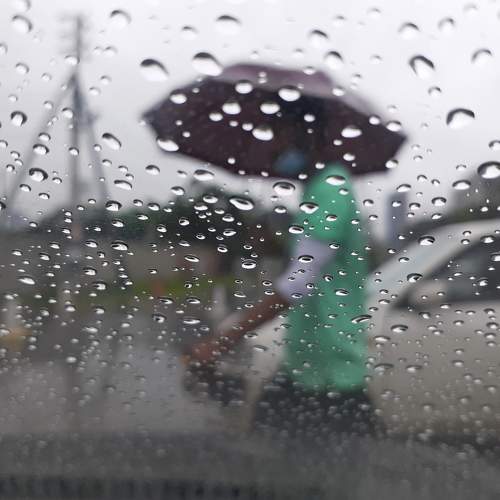 Photo #8529516
