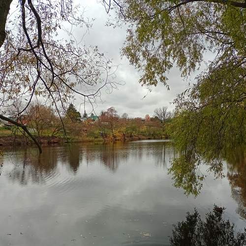 Photo #8529687