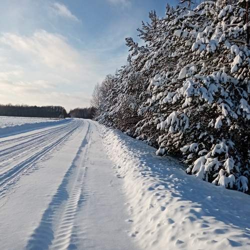 Photo #8529757