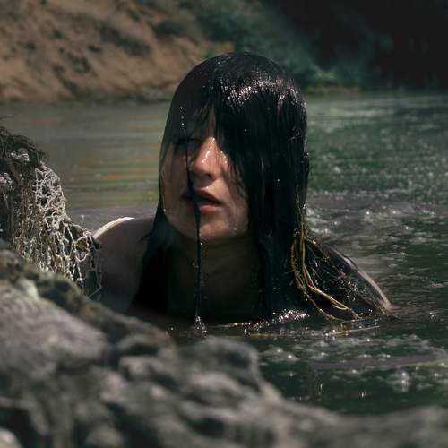 Photo #8530008