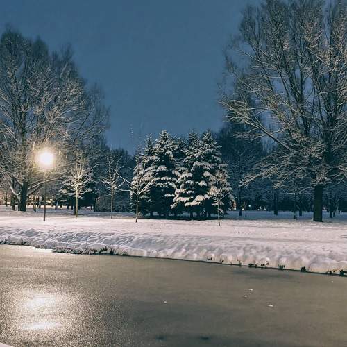 Photo #8530078