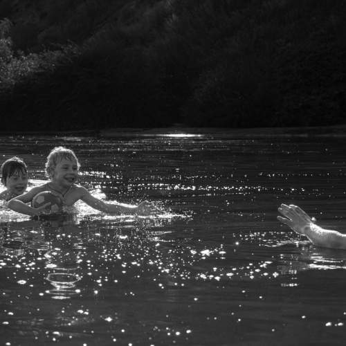 Photo #8530108