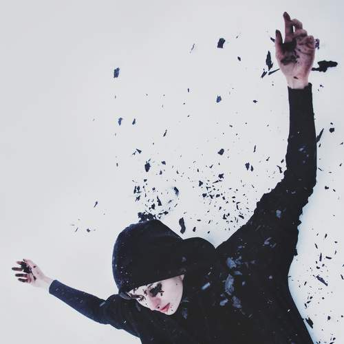 Photo #8530147