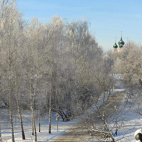 Photo #8530262