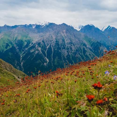 Photo #8530374