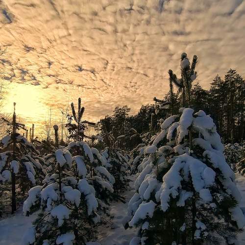 Photo #8530425