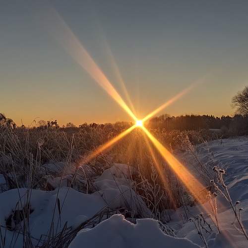 Photo #8530523