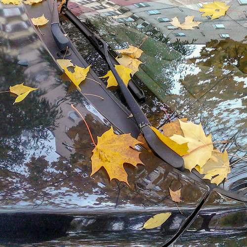 Photo #8530562