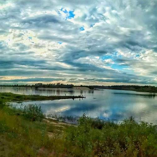 Photo #8530831