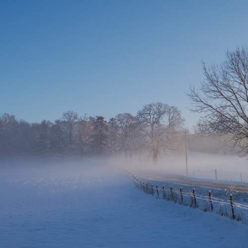Photo #8531127