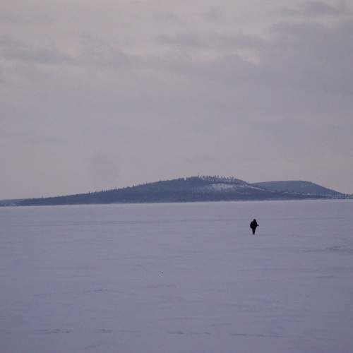 Photo #8531355