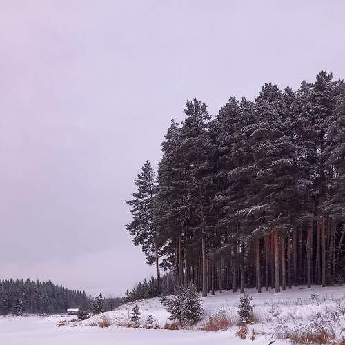 Photo #8531504