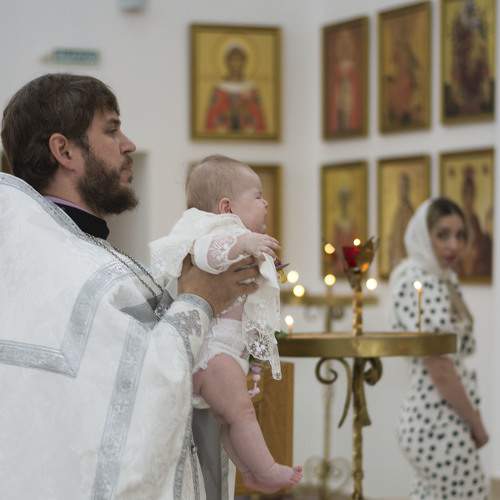 Photo #8531716