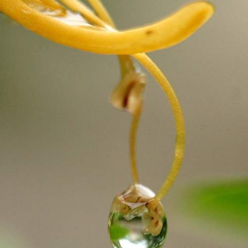 Photo #8532877