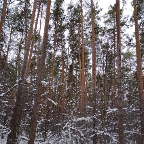 Photo #8533189