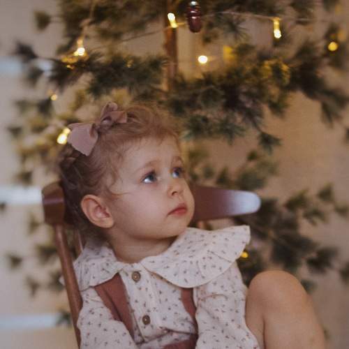 Photo #8533210