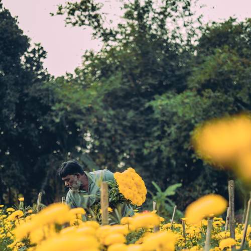 Photo #8533227