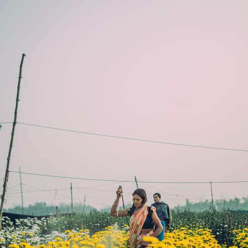 Photo #8533242