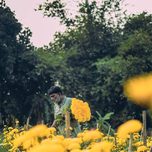 Photo #8533261