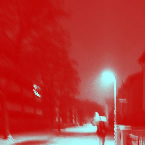 Photo #8533402