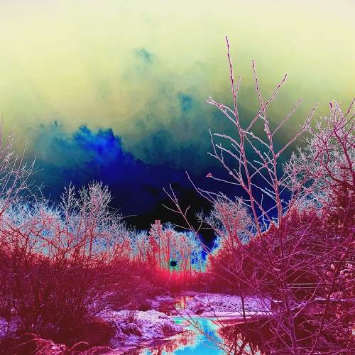 Photo #8533409