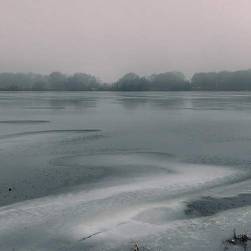 Photo #8533527