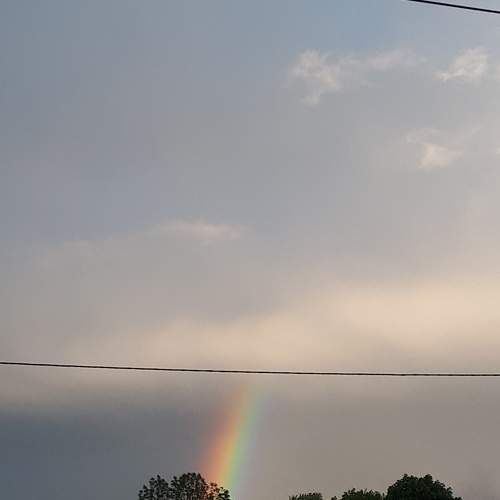 Photo #8533549