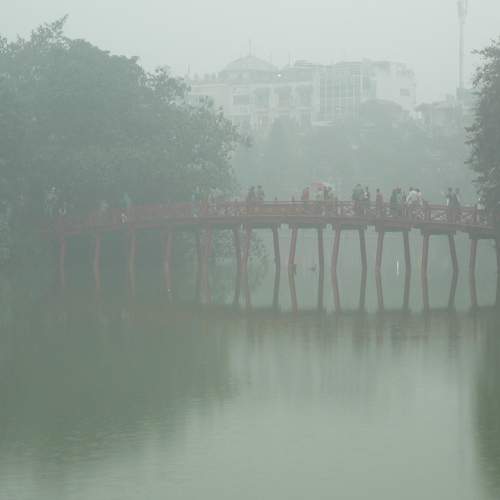 Photo #8533828