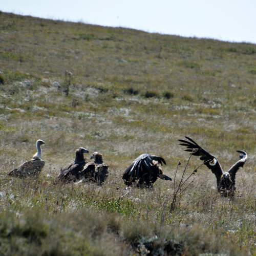 Photo #8534408