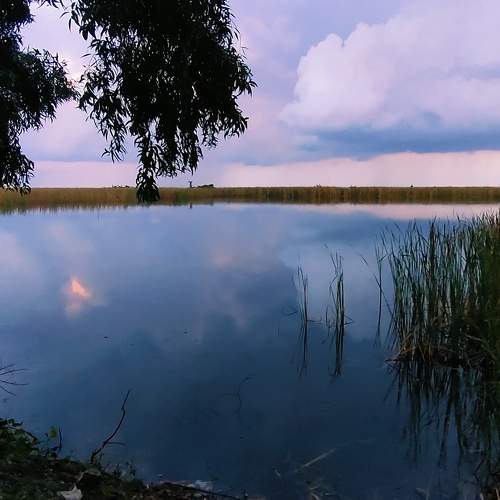 Lake
