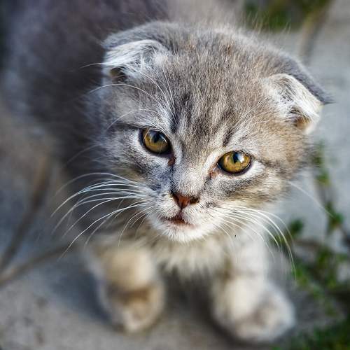 Photo #8534552