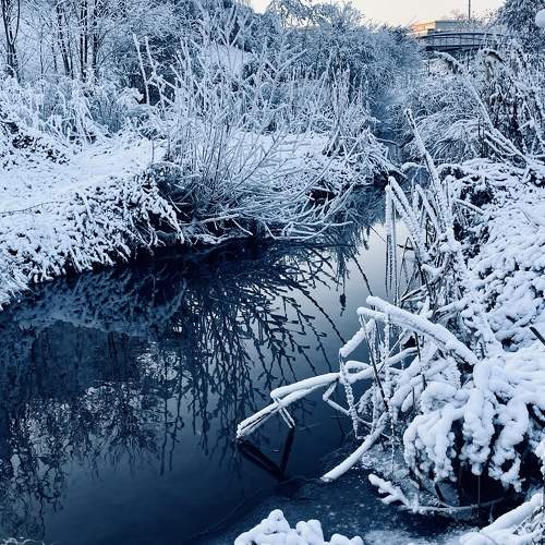 Photo #8534947