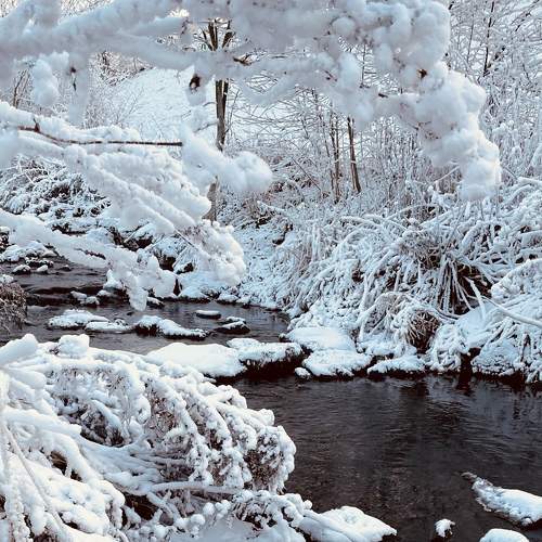 Photo #8534948