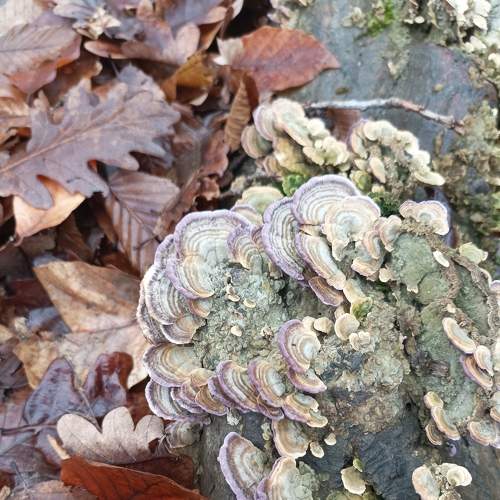 Photo #8534981