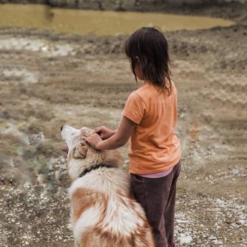 Photo #8534994