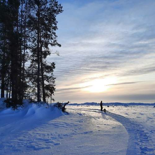 Photo #8535111