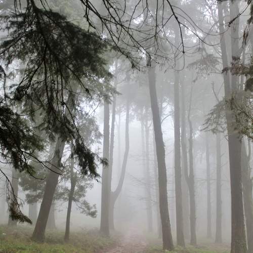Photo #8535727