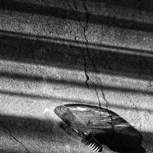Photo #8535836