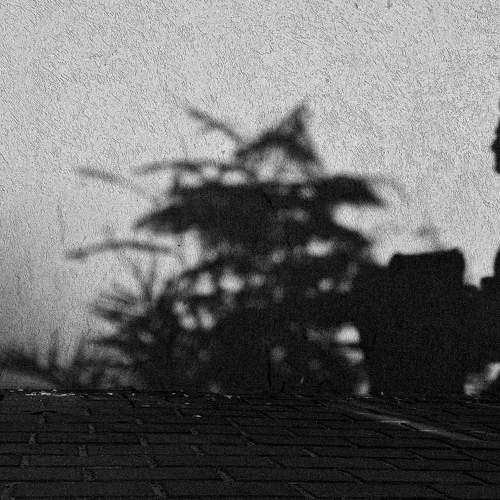 Shadow