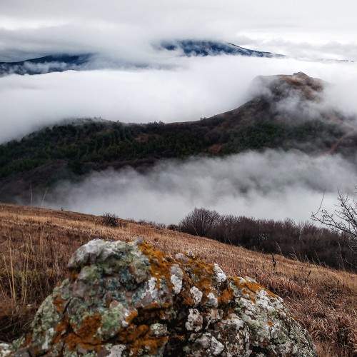 Photo #8536025