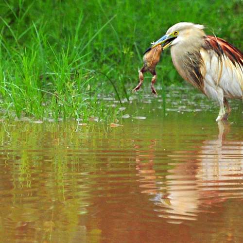 Photo #8536851
