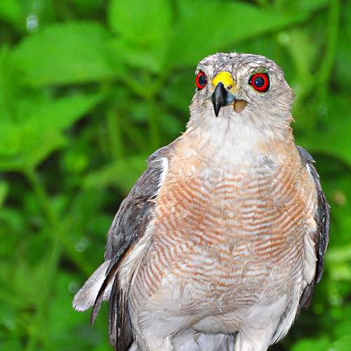 Photo #8536856