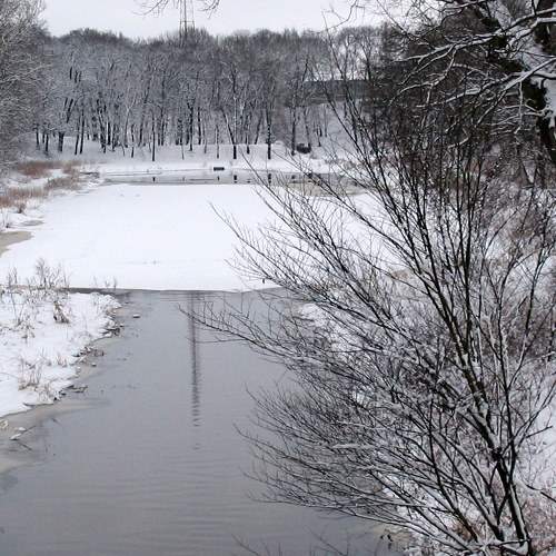 Photo #8536935