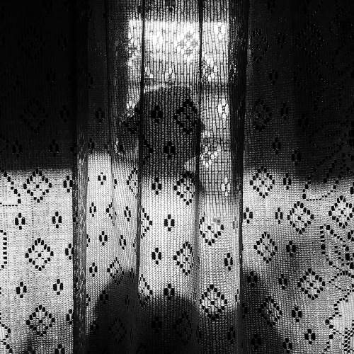Photo #8536939