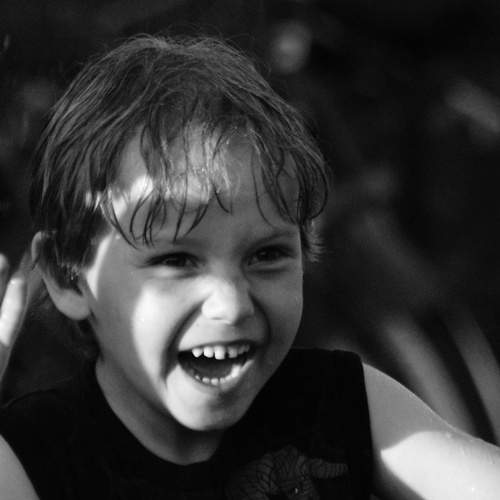 Photo #8537156