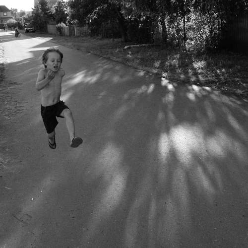 Photo #8537166