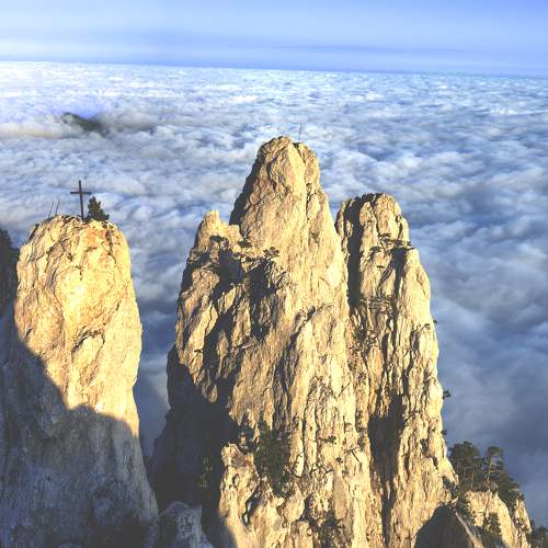 Photo #8537180