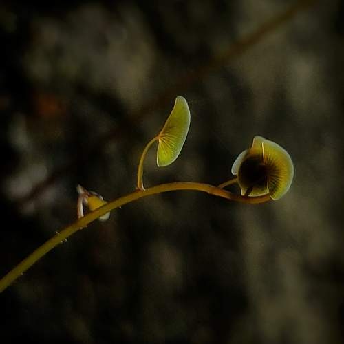 Photo #8537199