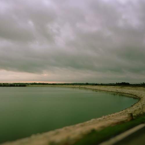 Photo #8537329