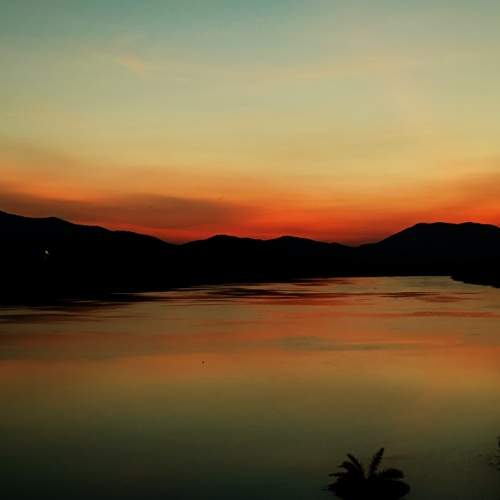 Photo #8537330